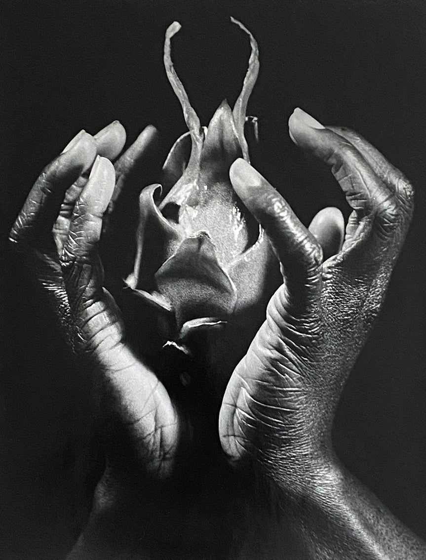 Corps et fruit 5