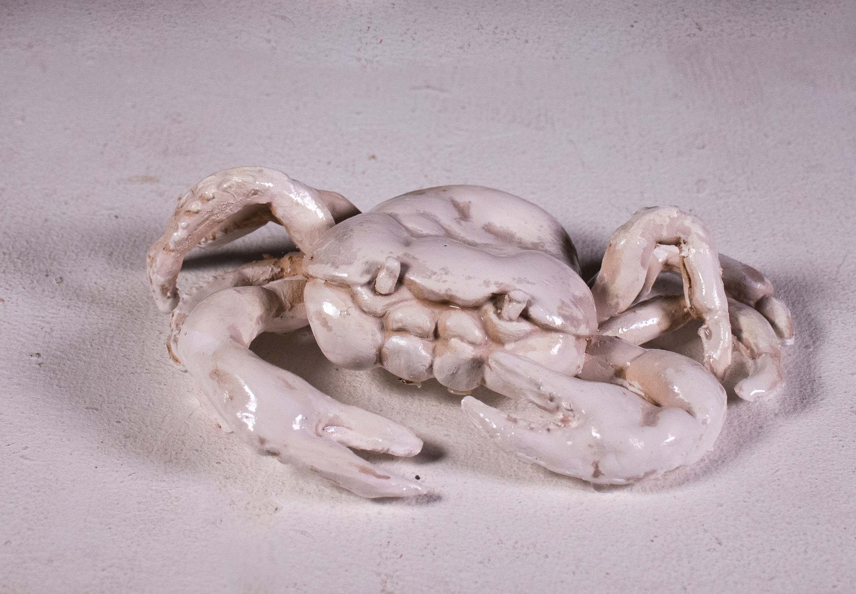 Crab (1/5)