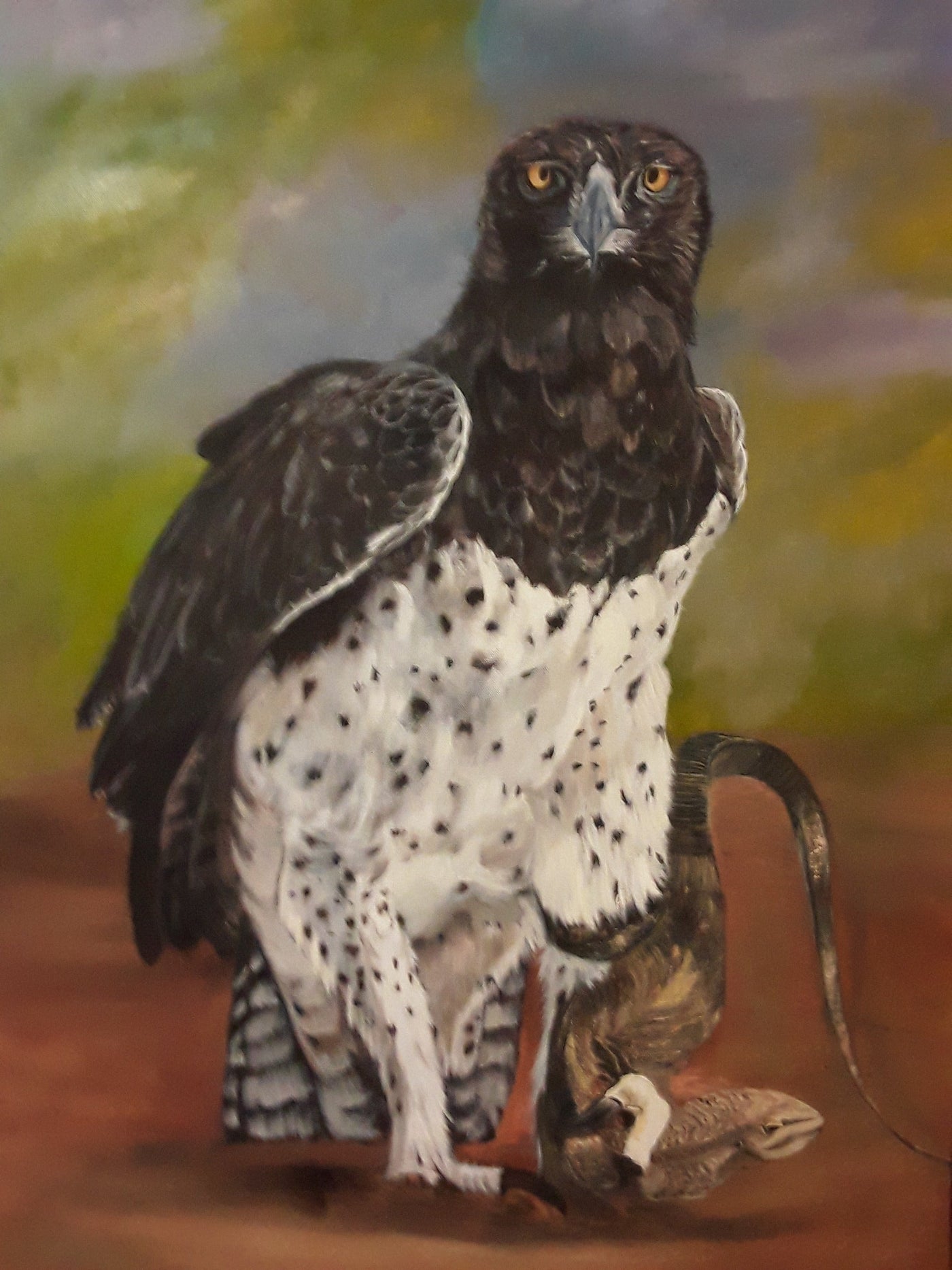 Martial Eagle's Leguan for Brunch