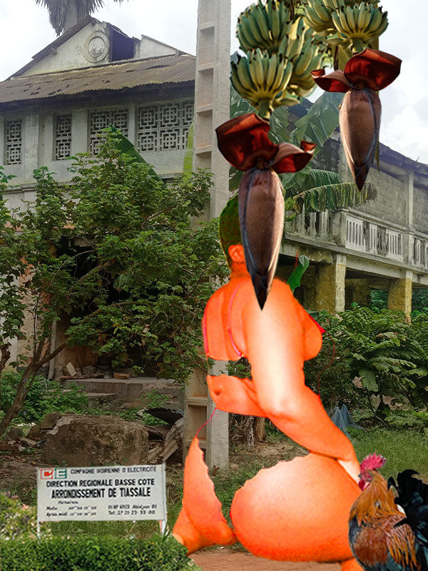 Akôbô poussière