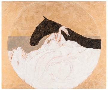 Draping the Horse