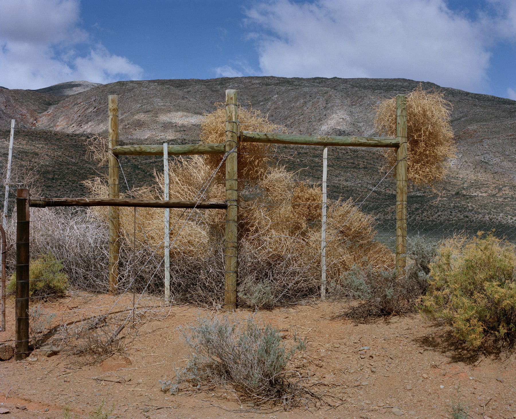 Fence, Bosch Luys Kloof, Karoo