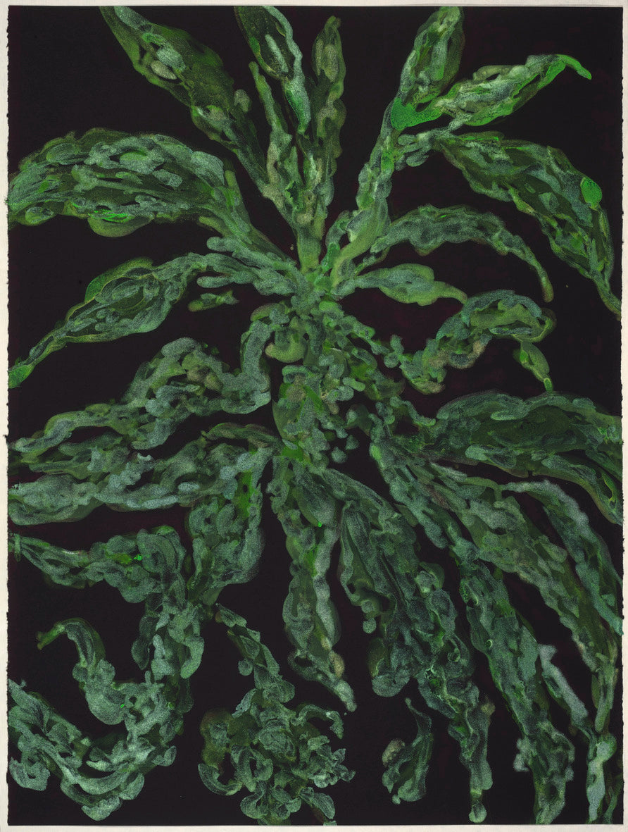 Flourishing II