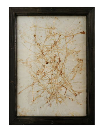 Flower Heat Print 1 (Latifolia)