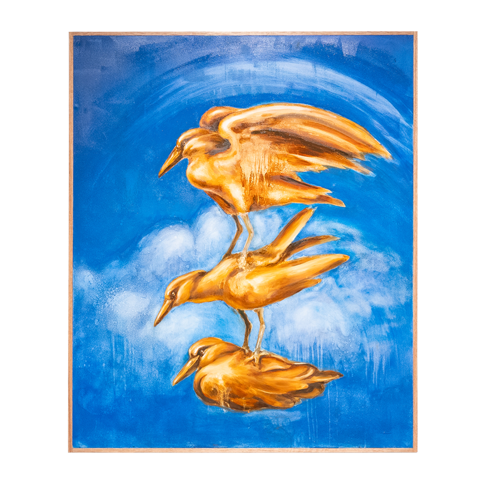 Lightning Birds