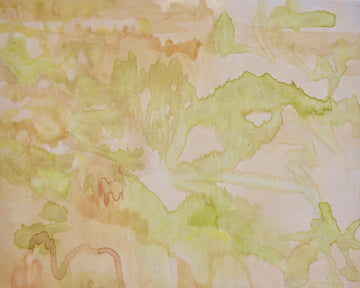 Disarray IV