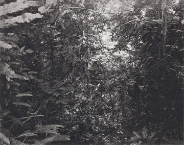 Congo
