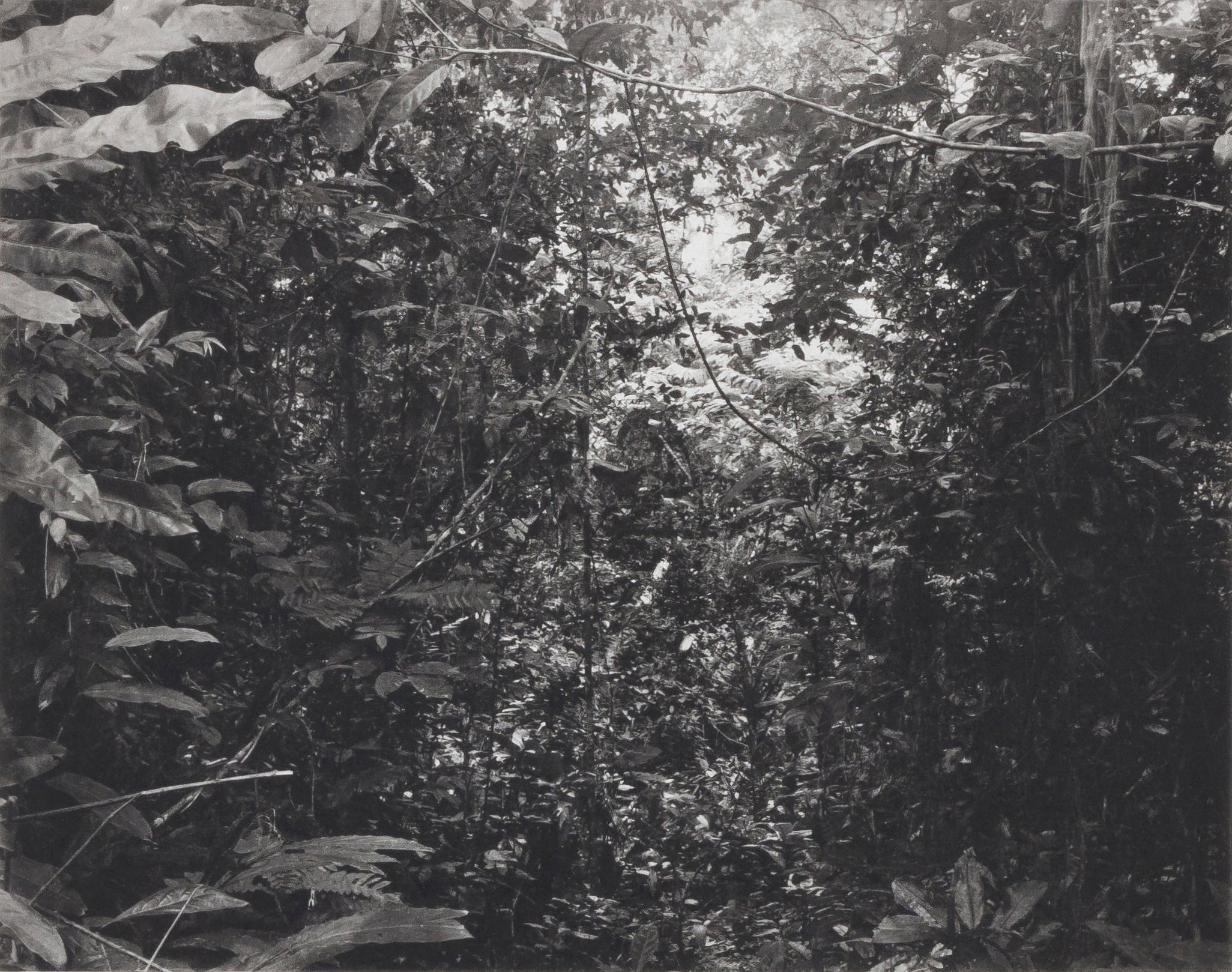 Congo