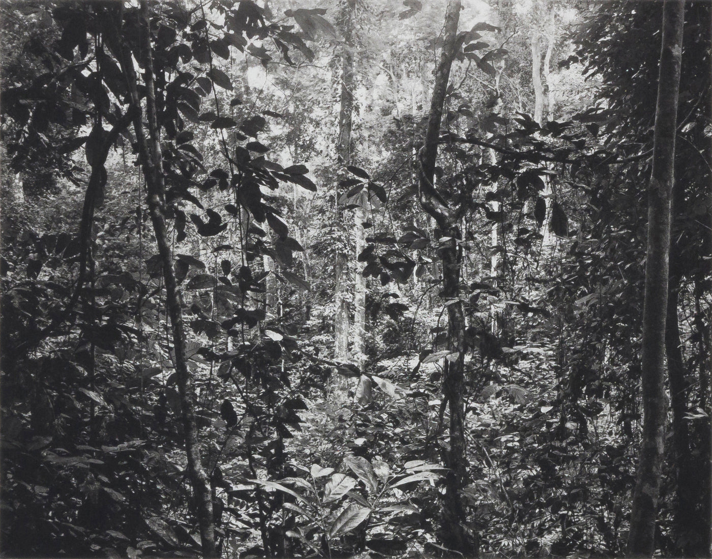 Gabon