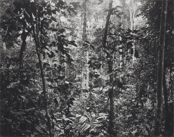 Gabon