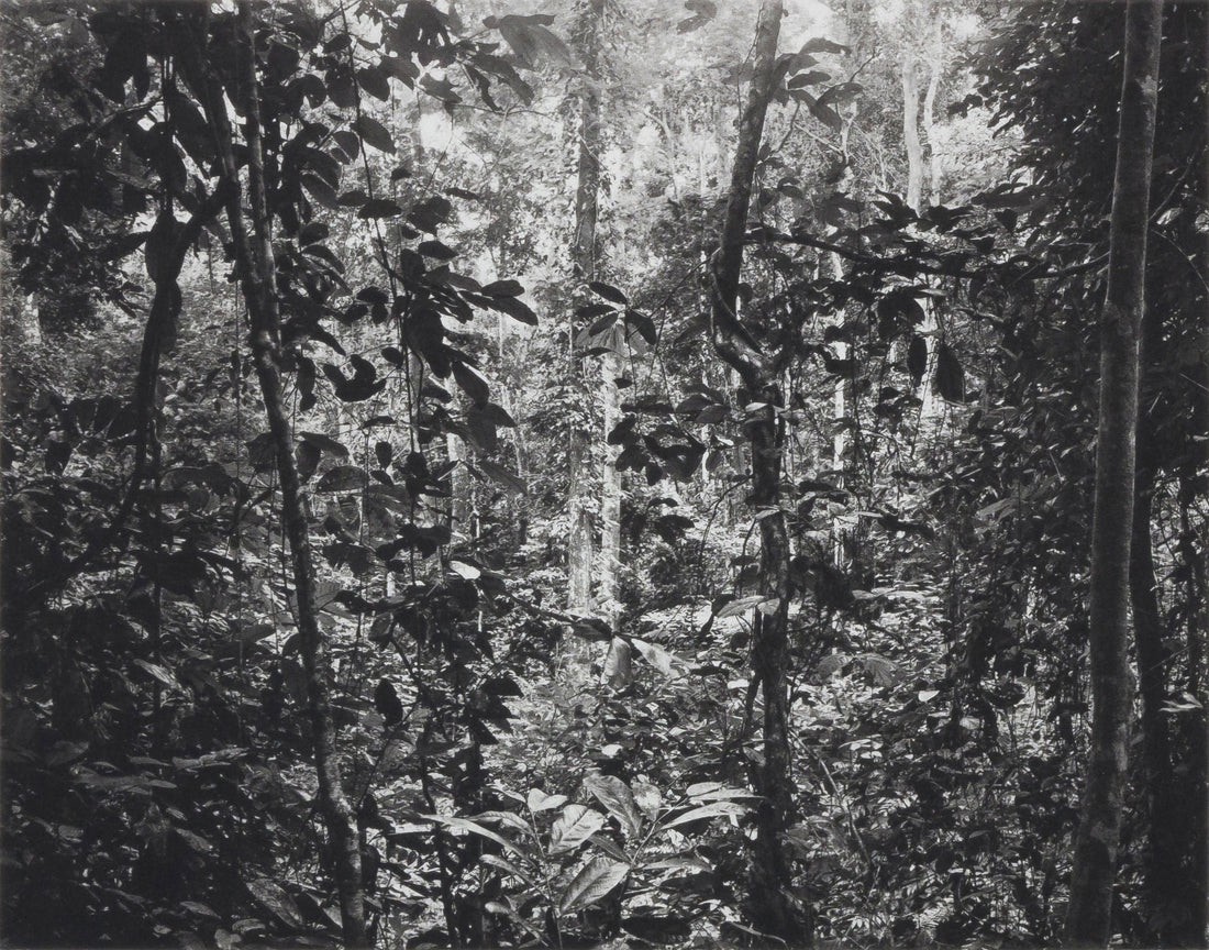 Gabon