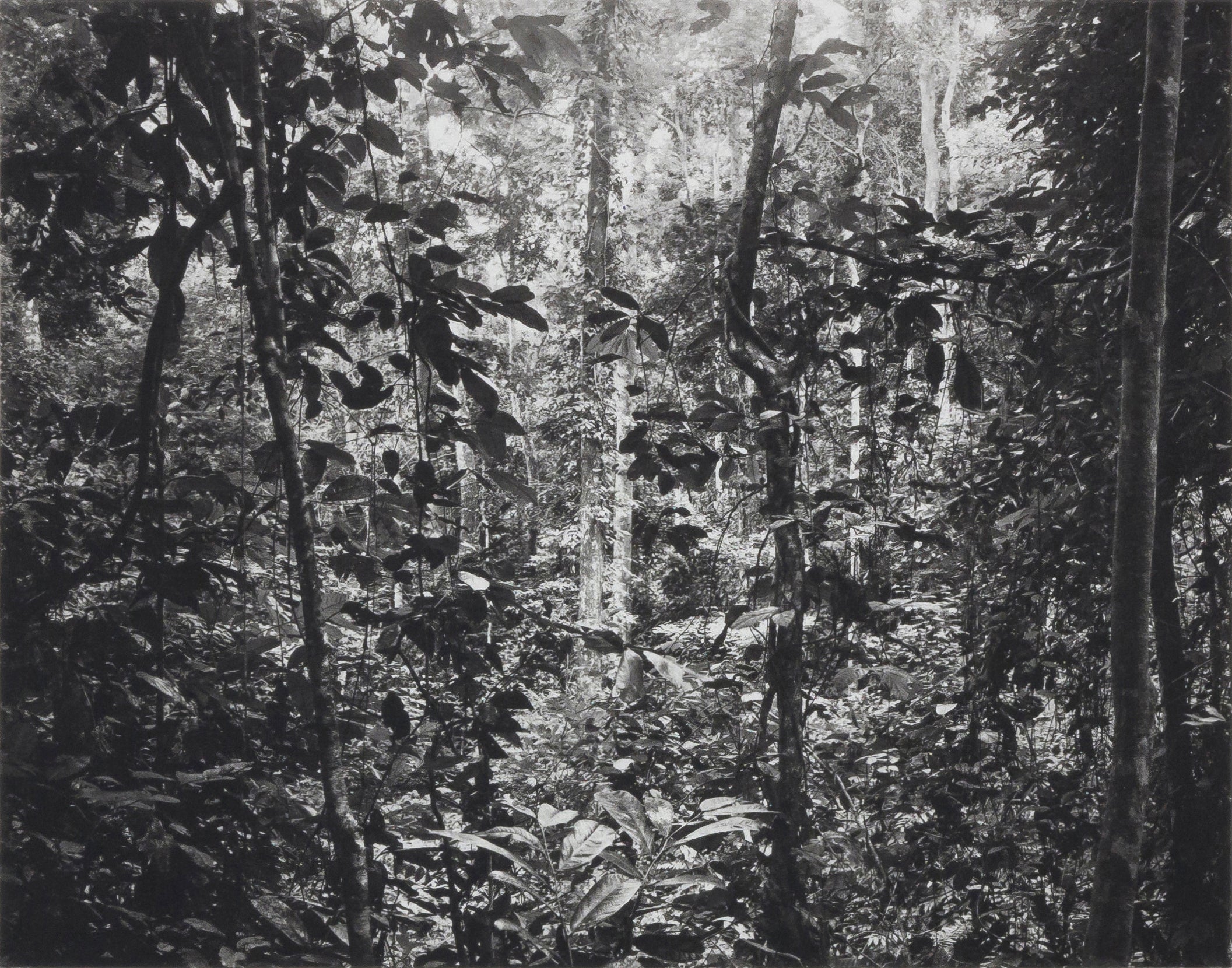 Gabon
