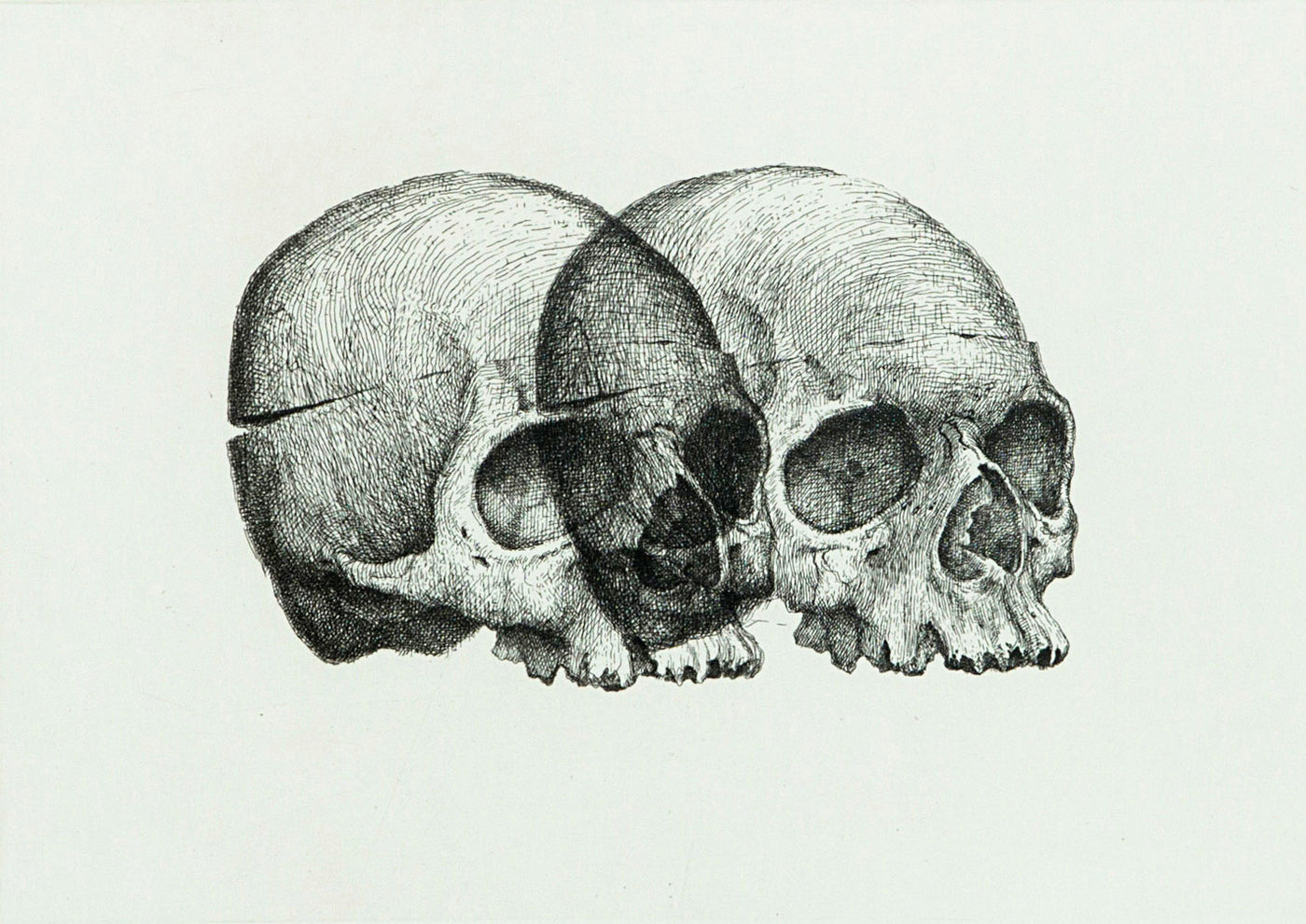 Binocular Skull 1
