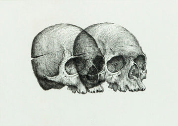 Binocular Skull 1