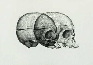 Binocular Skull 2