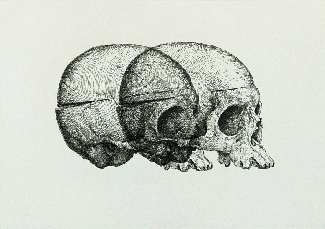Binocular Skull 2