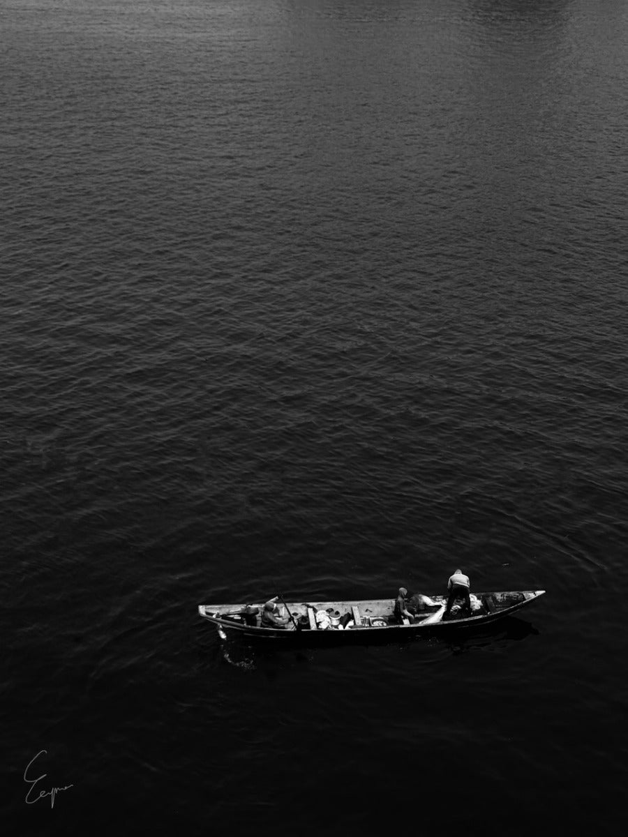 Stillness and Survival / Beyond the Veil