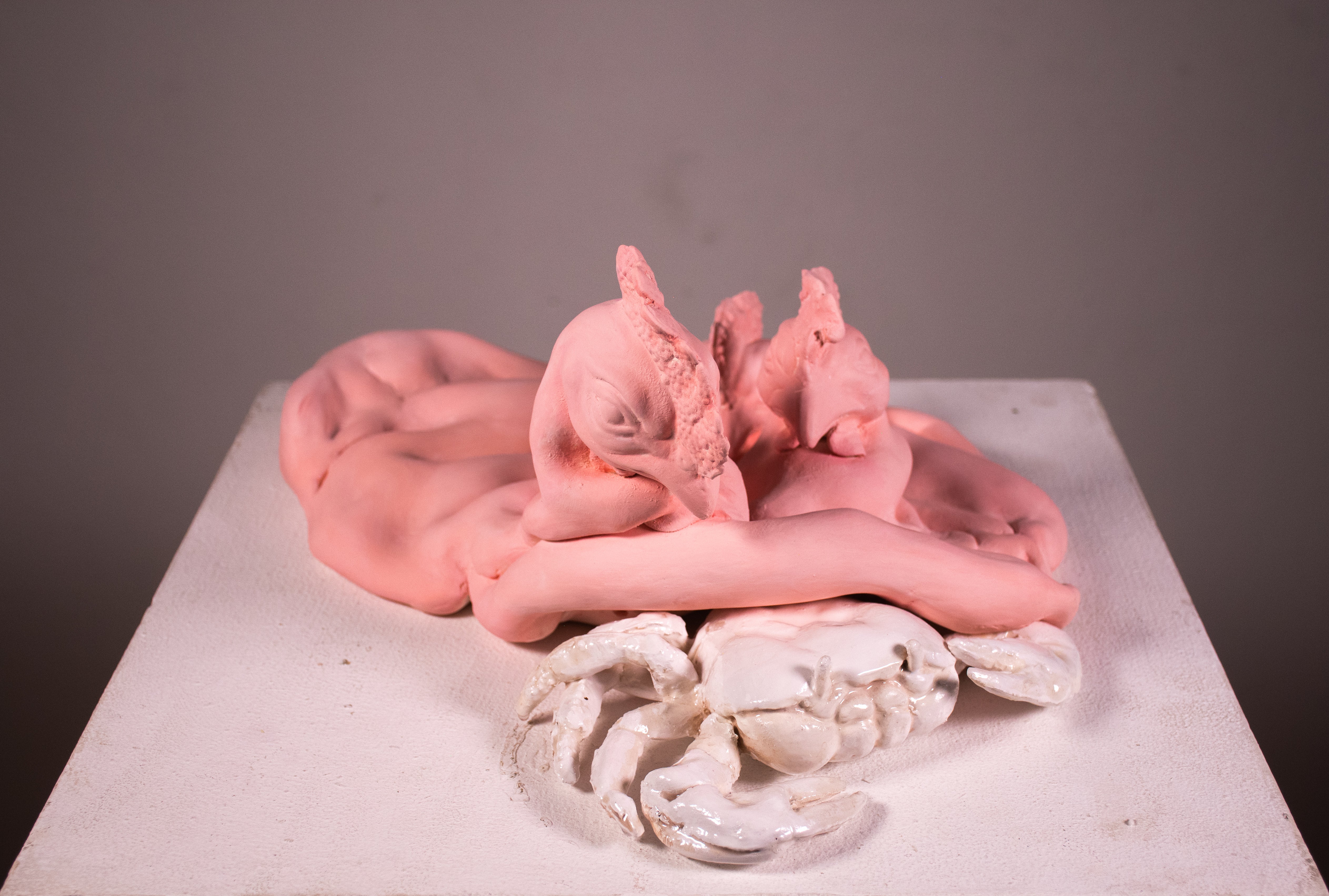 Hydra and Crab