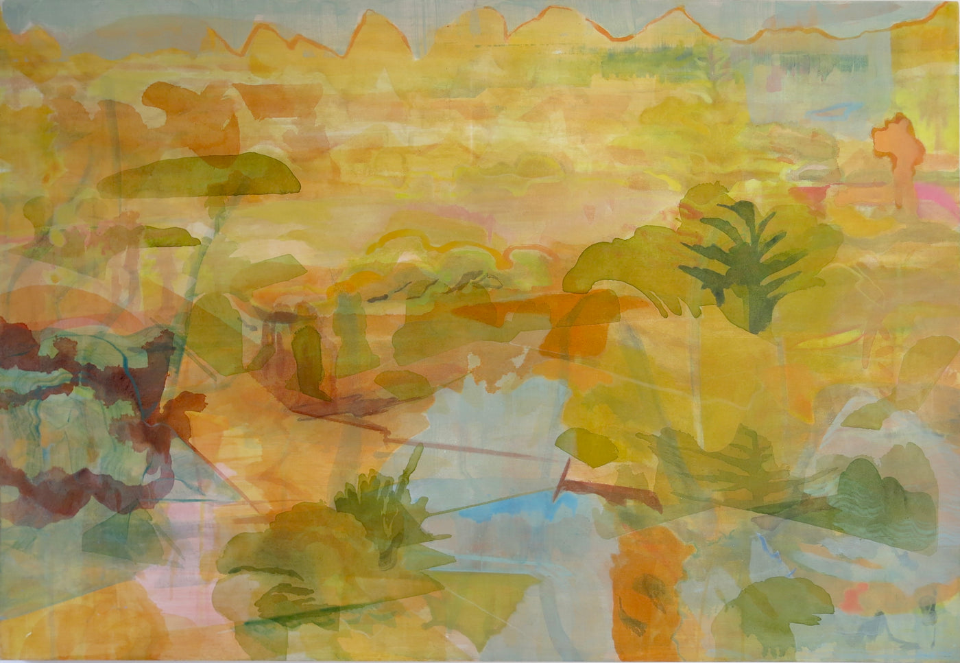 Vlei I