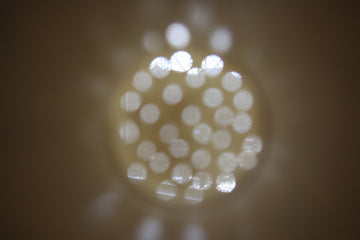 The Strainer