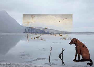 In Afterland (Piero d Cosimo)