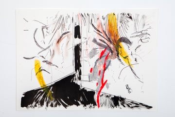 Portrait of Johannesburg II ( Lockdown II)
