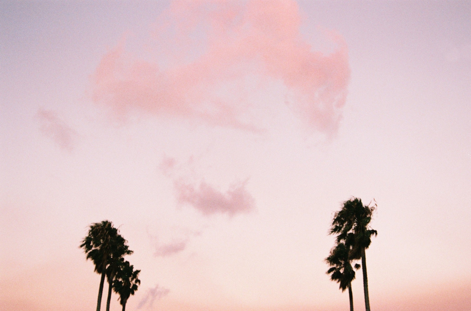 Flossy