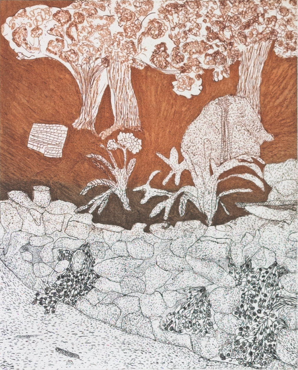The Garden