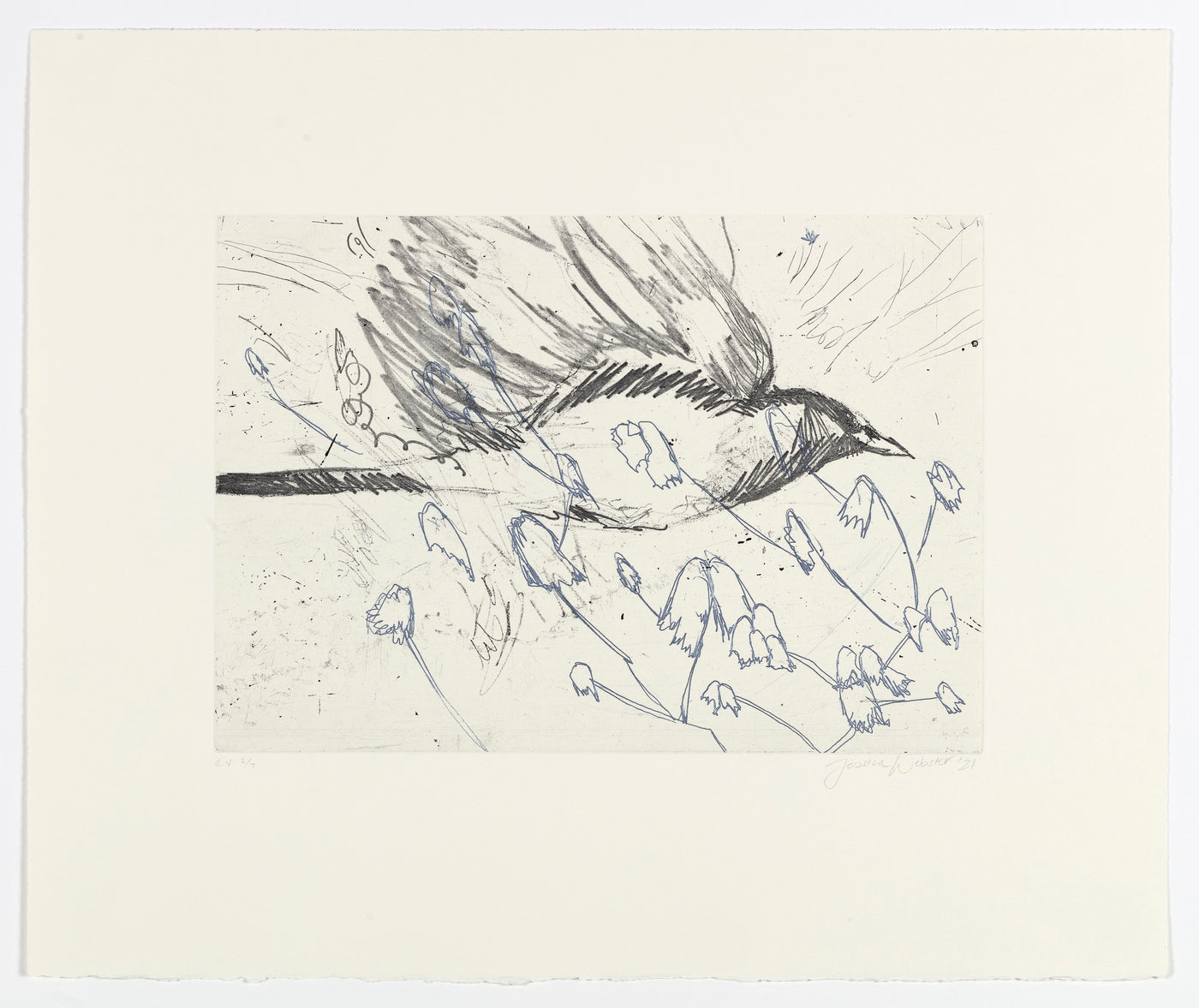 Untitled (Bird in Flight)
