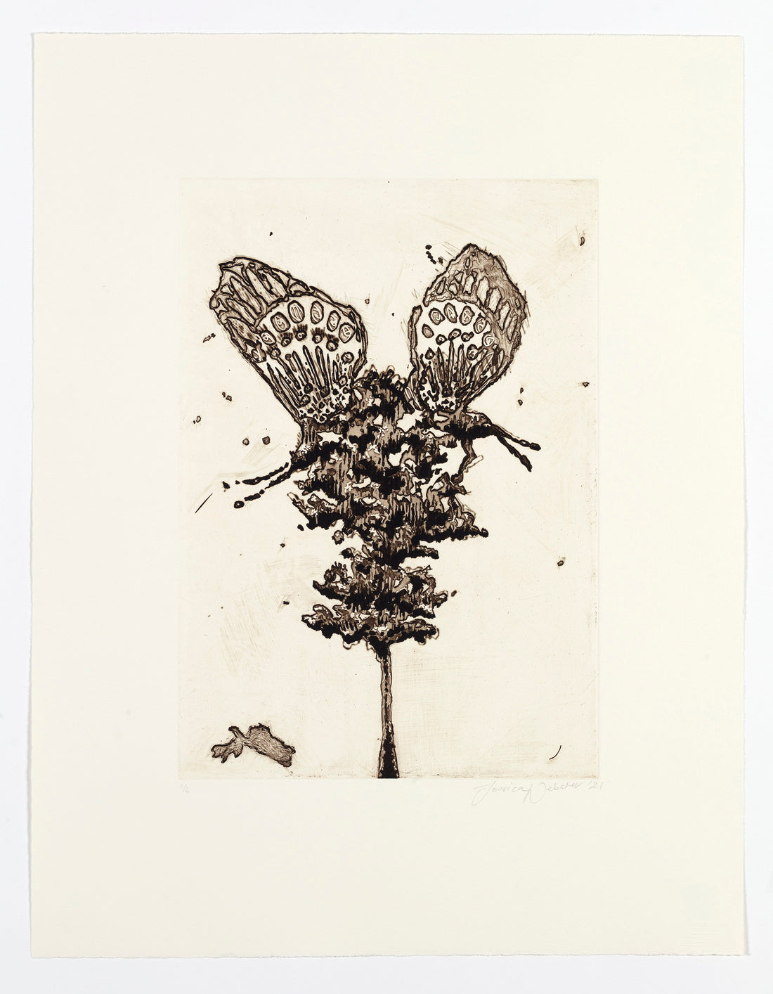 Untitled (Metamorphosis)