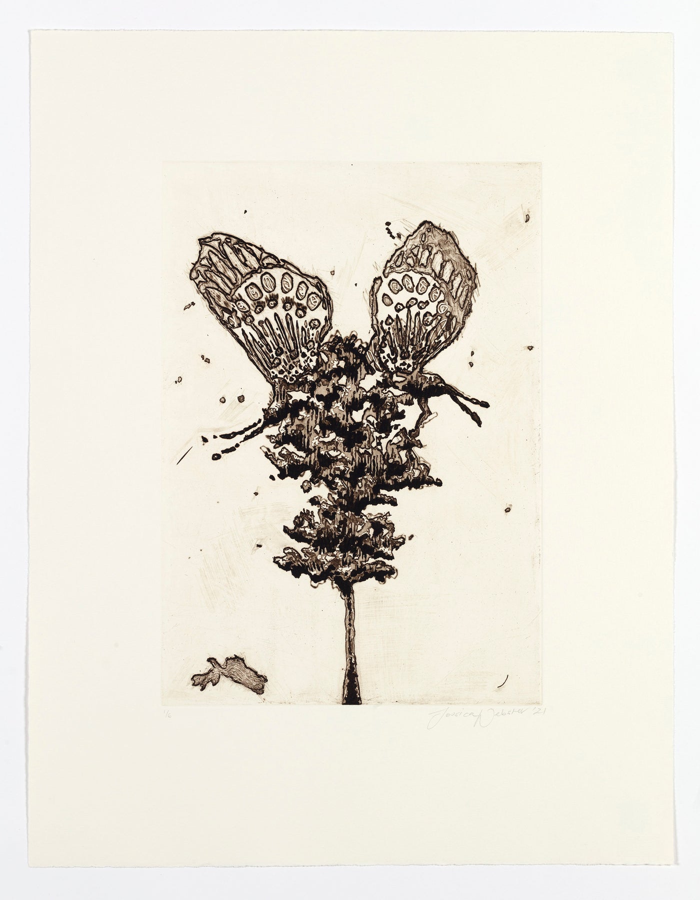 Untitled (Metamorphosis)