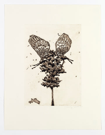 Untitled (Metamorphosis)
