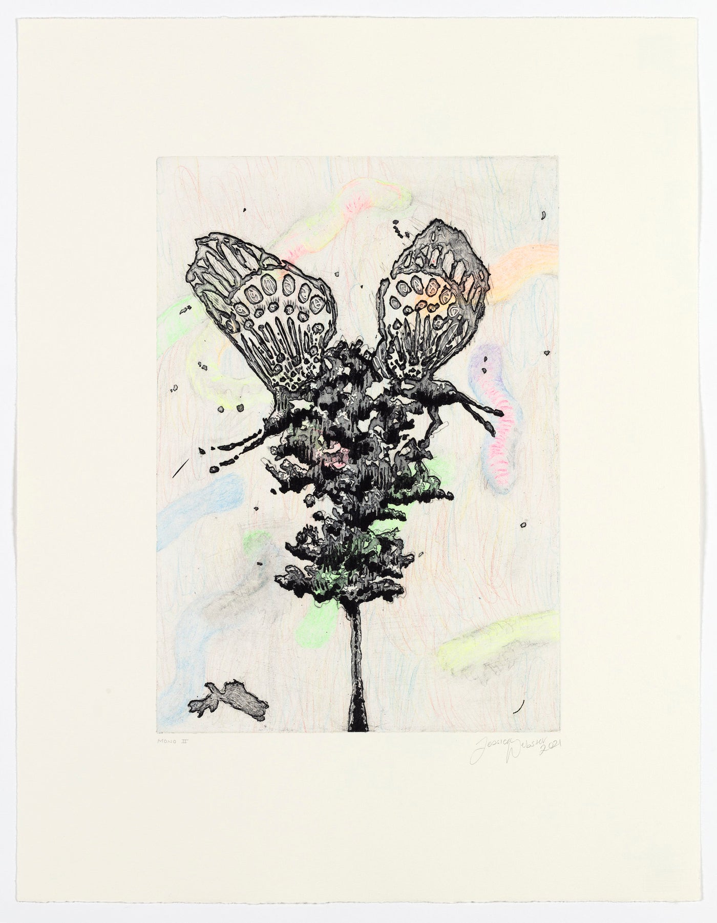 Untitled (Metamorphosis in Colour II)