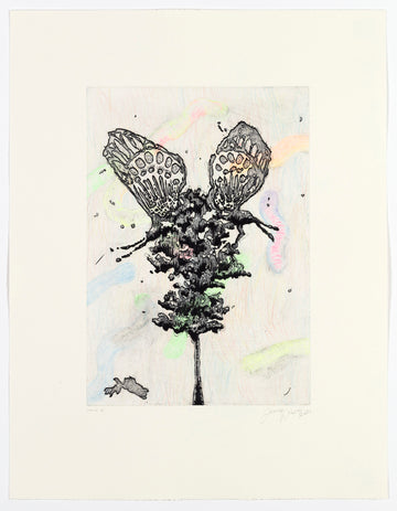 Untitled (Metamorphosis in Colour II)