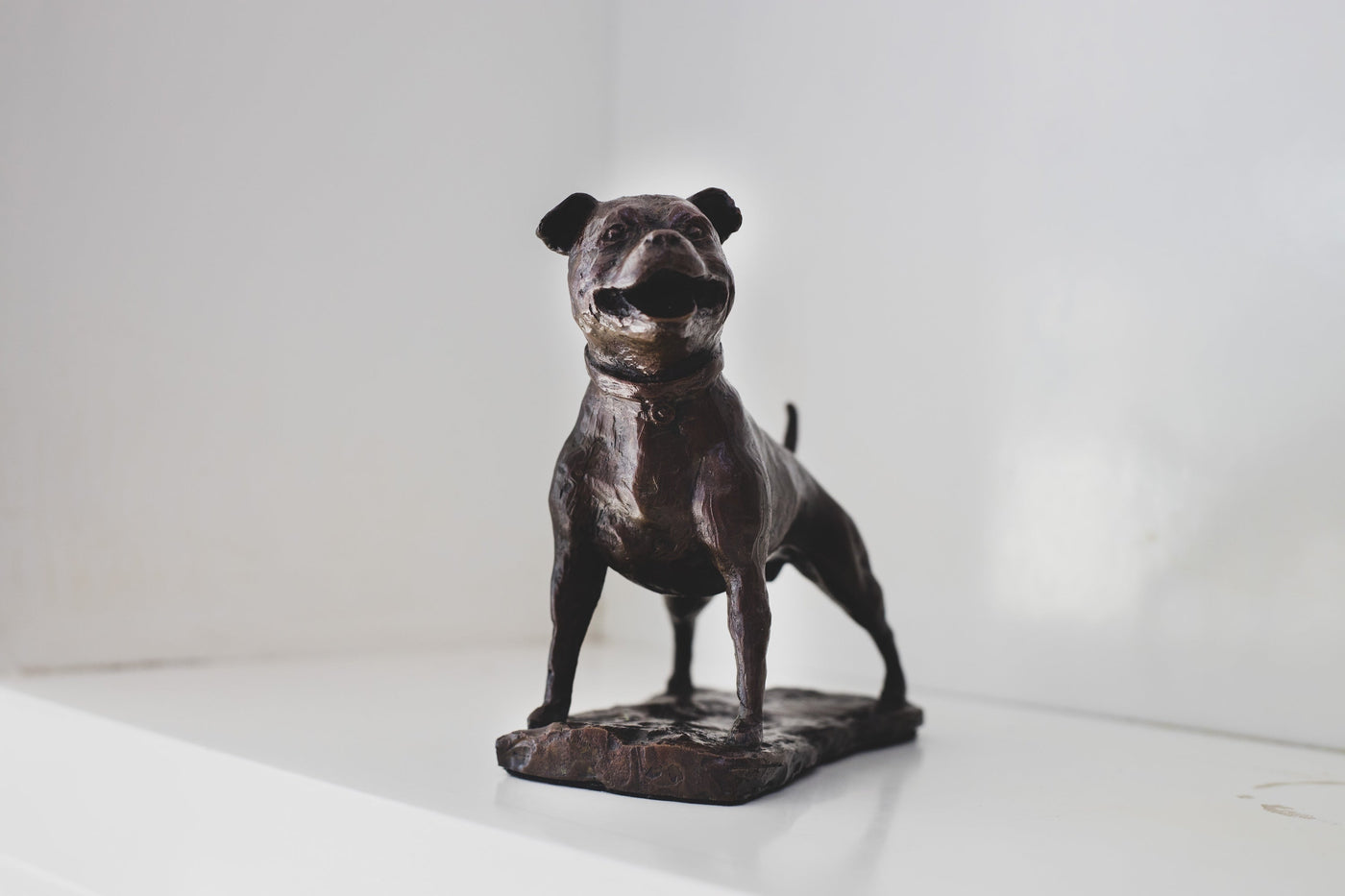 Staffordshire Bull Terrier