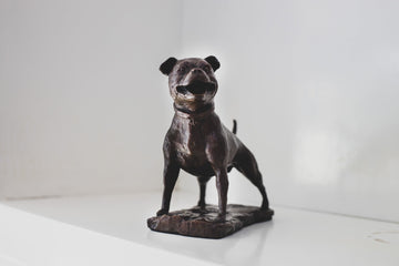 Staffordshire Bull Terrier