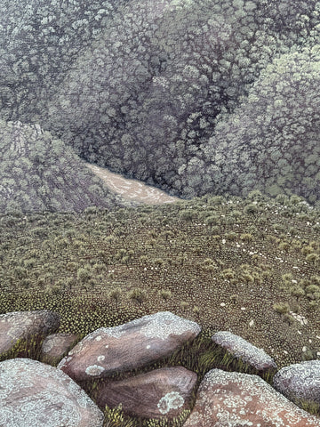 Catchment