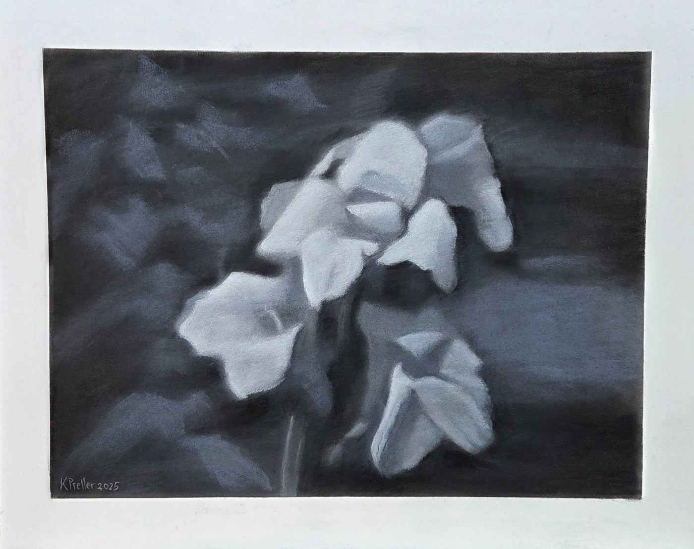 Flower bed I