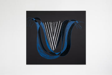 Blue Tulips