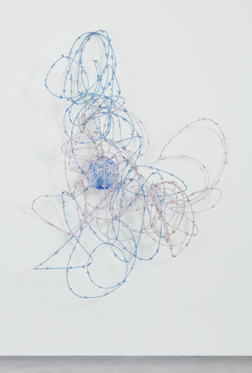Plant Study II, 2023