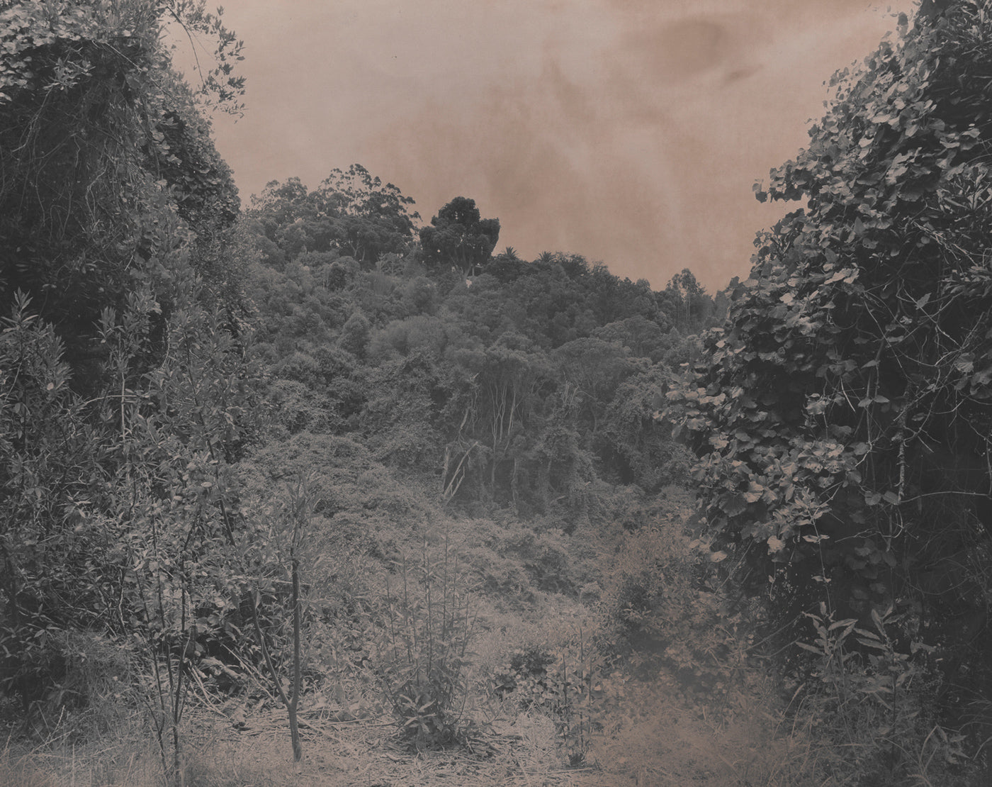 Landscape Study 03