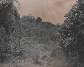 Landscape Study 03