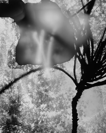 An Echo of Night 03