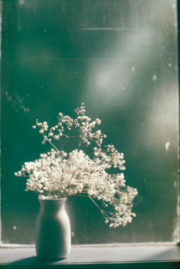 Blossoms