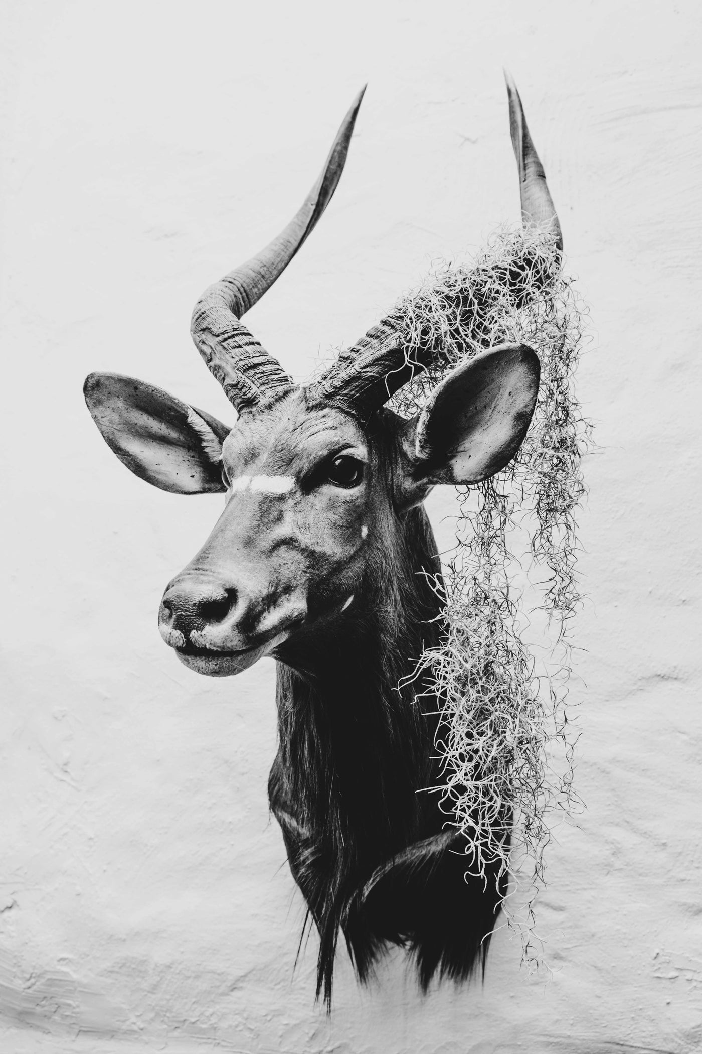 KUDU