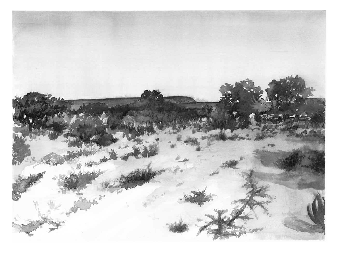 Nthlantle II