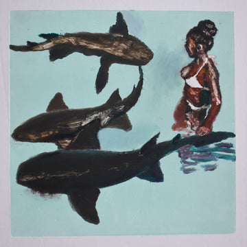 Nurse shark encounter