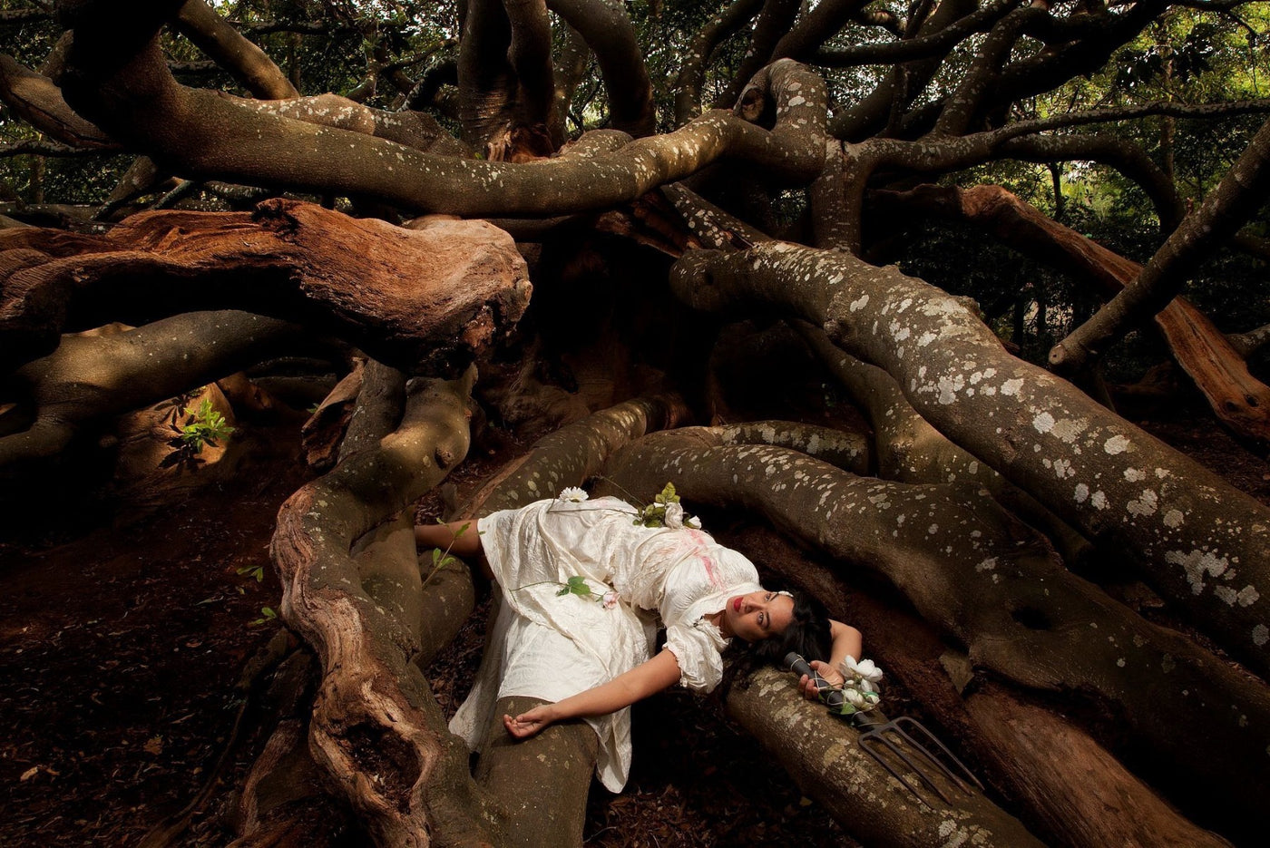 God save our hedge 1 (Botanical Imperalism Series)