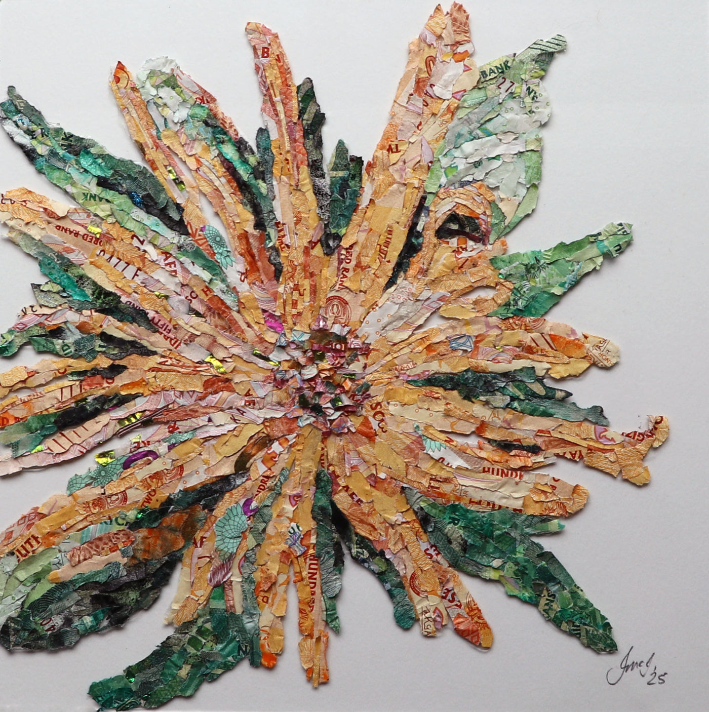 R10-200 Glottiphylum