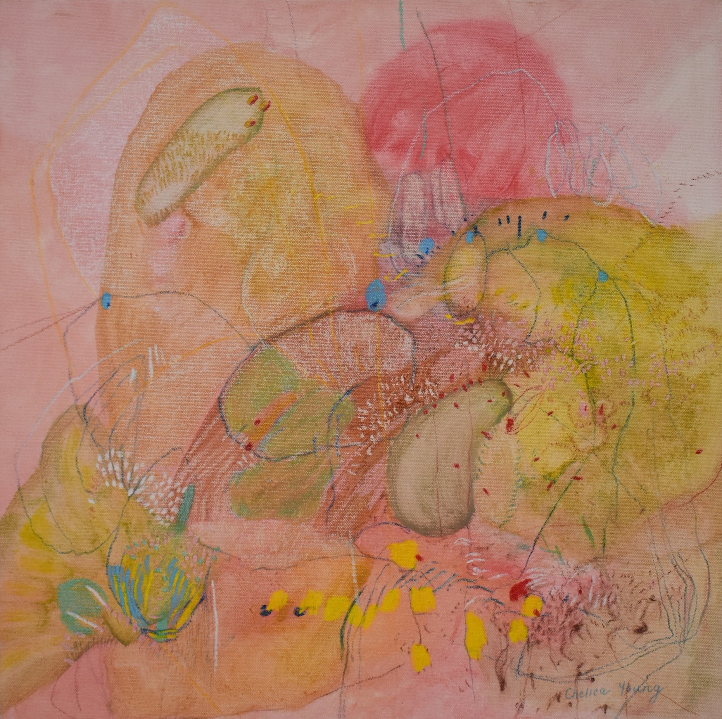 Transformational land